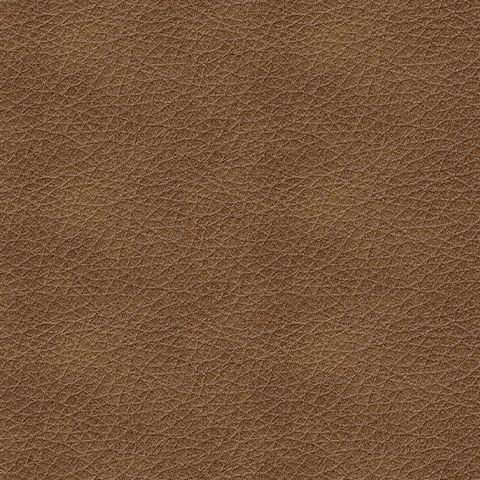 Bolsena - Caramel - Loveseat - Leather Match