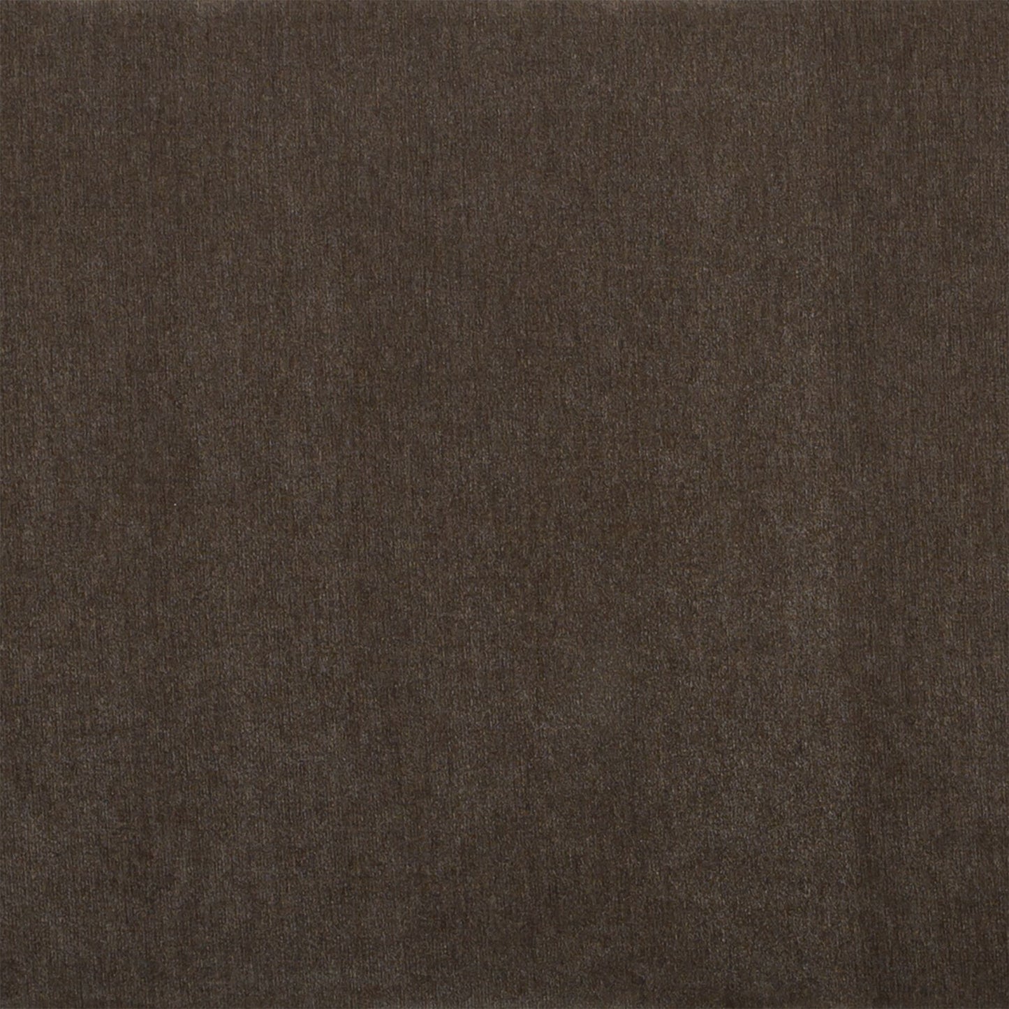 Kiran - Sleeper Sofa - Warm Charcoal