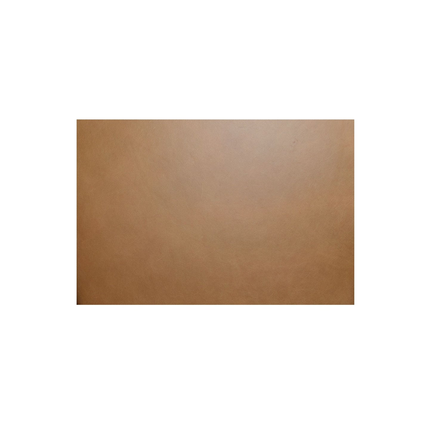 Morel - Leather Counter Stool - Brown