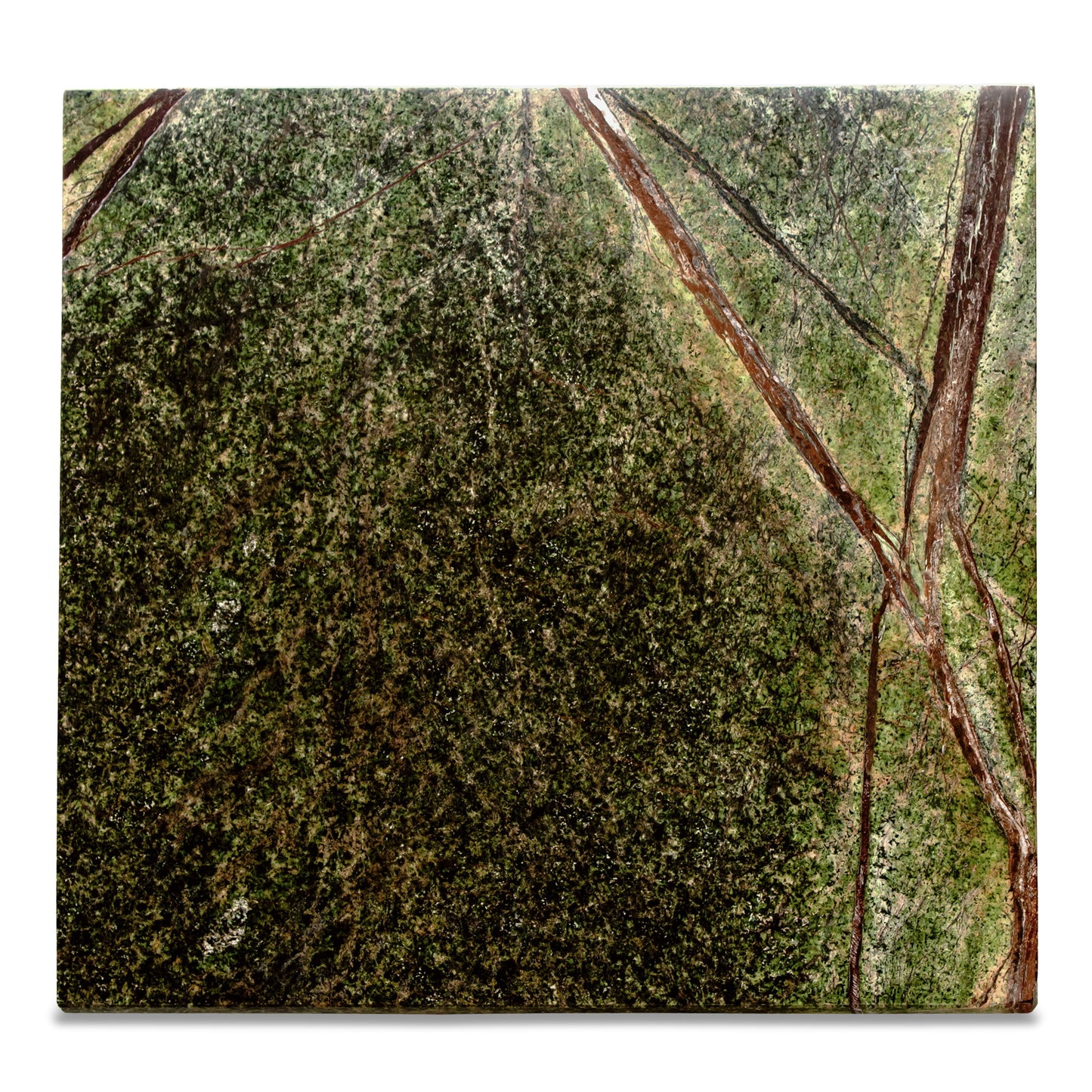 Blair - Accent Table - Rainforest