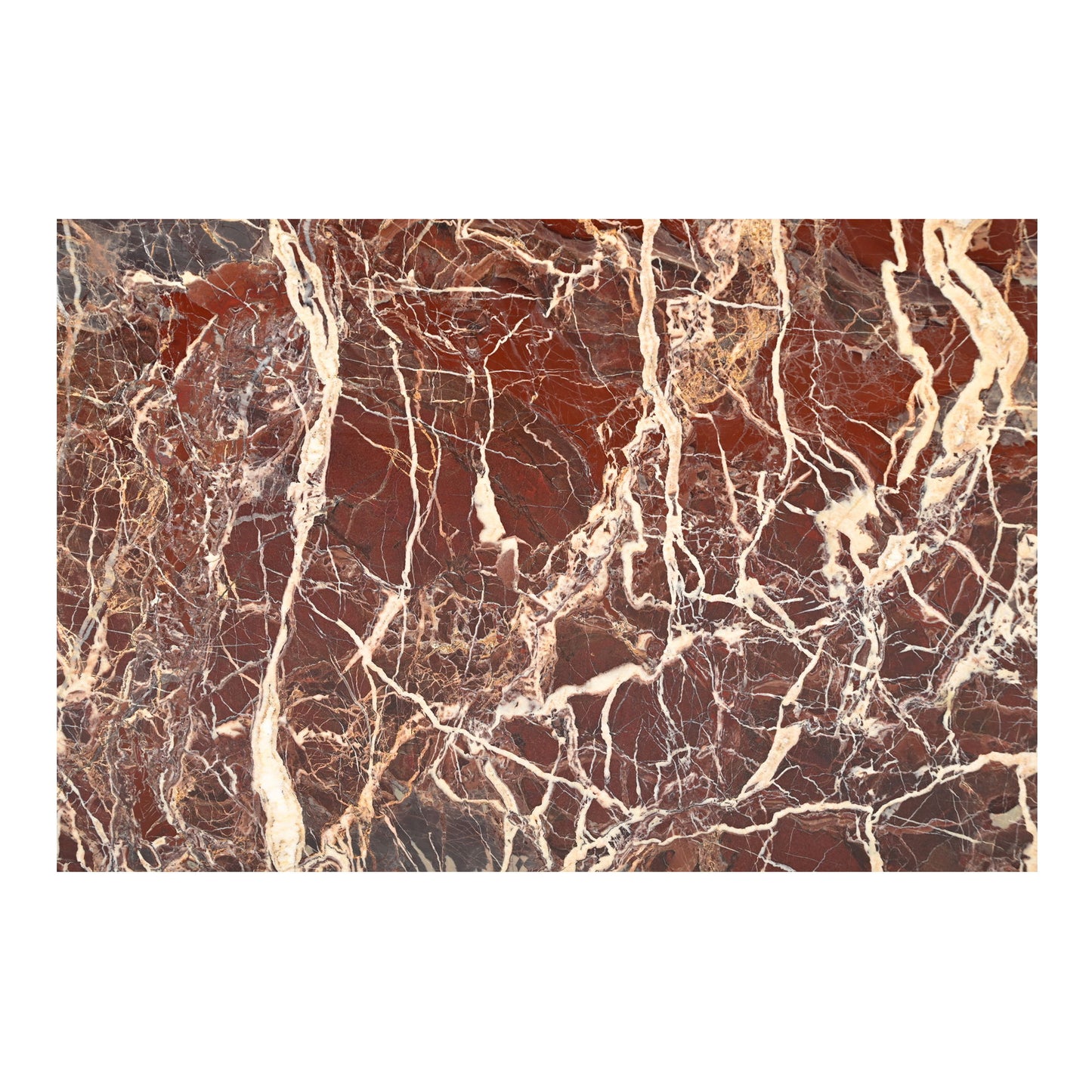 Rosa - Coffee Table - Rosso Levnato Marble